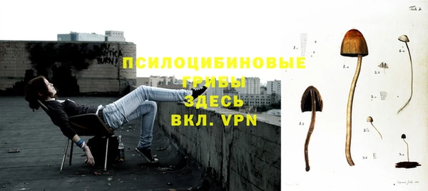 jwh Белокуриха