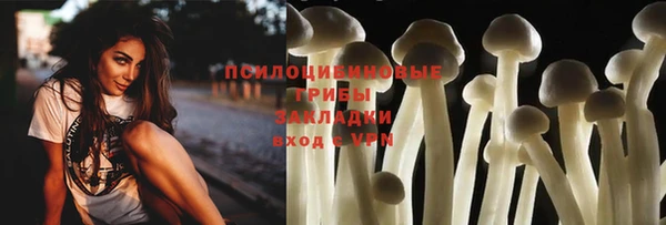 jwh Белокуриха