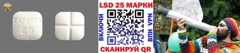 ЛСД экстази ecstasy omg Котовск