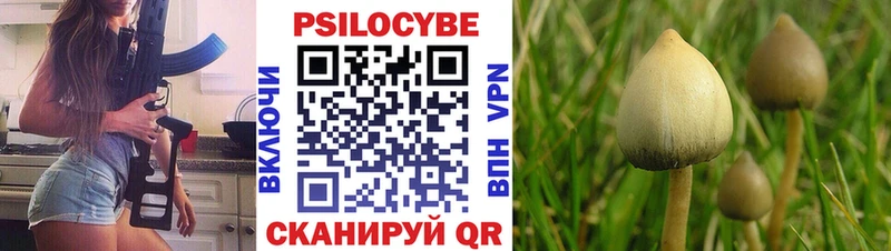 дарнет шоп  Котовск  Псилоцибиновые грибы Psilocybe 